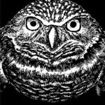 Linocut by Mickey Weaver