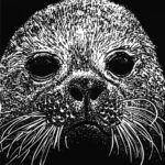 linocut image of a seal, white on black