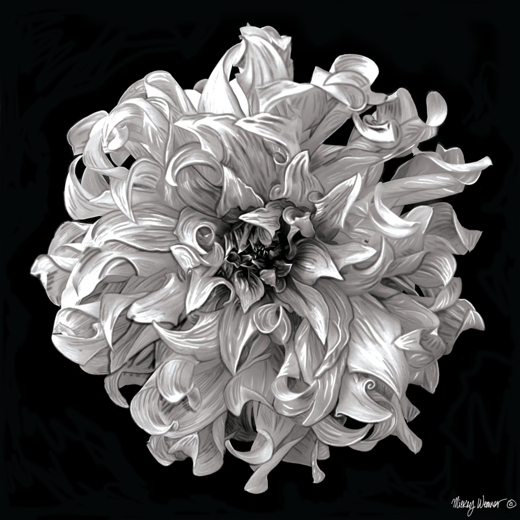 Photo Painted Dahlia Photo Painting Giclee Print