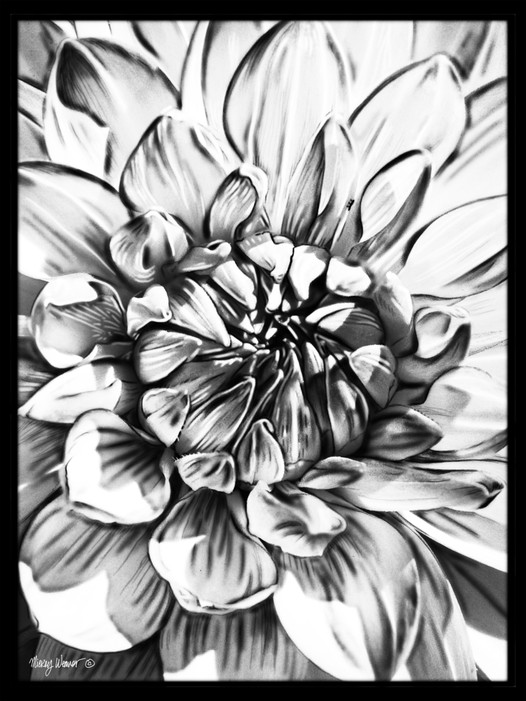 Photo Painted Black & While Dahlia, medium Photo Painting Giclee Print