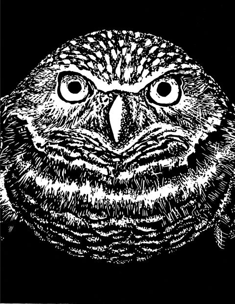 Linocut by Mickey Weaver